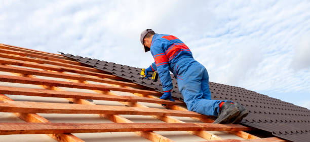 Best Roof Moss and Algae Removal  in Kings Park, VA