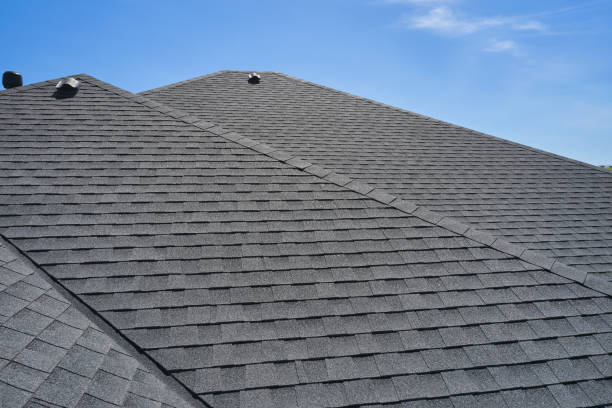 Best Solar Panel Roofing Installation  in Kings Park, VA